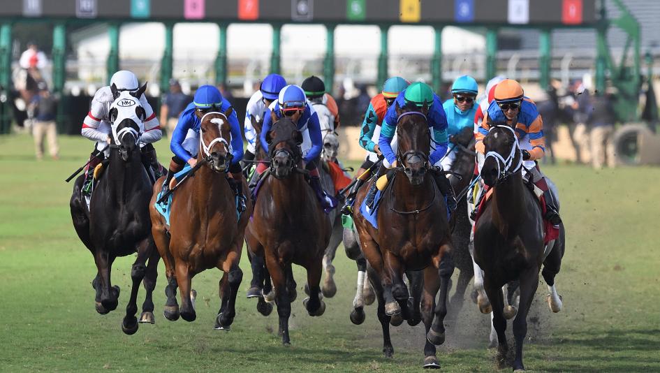 ABR Sunday Selections: Full-Card Picks for March 29 at Gulfstream Park